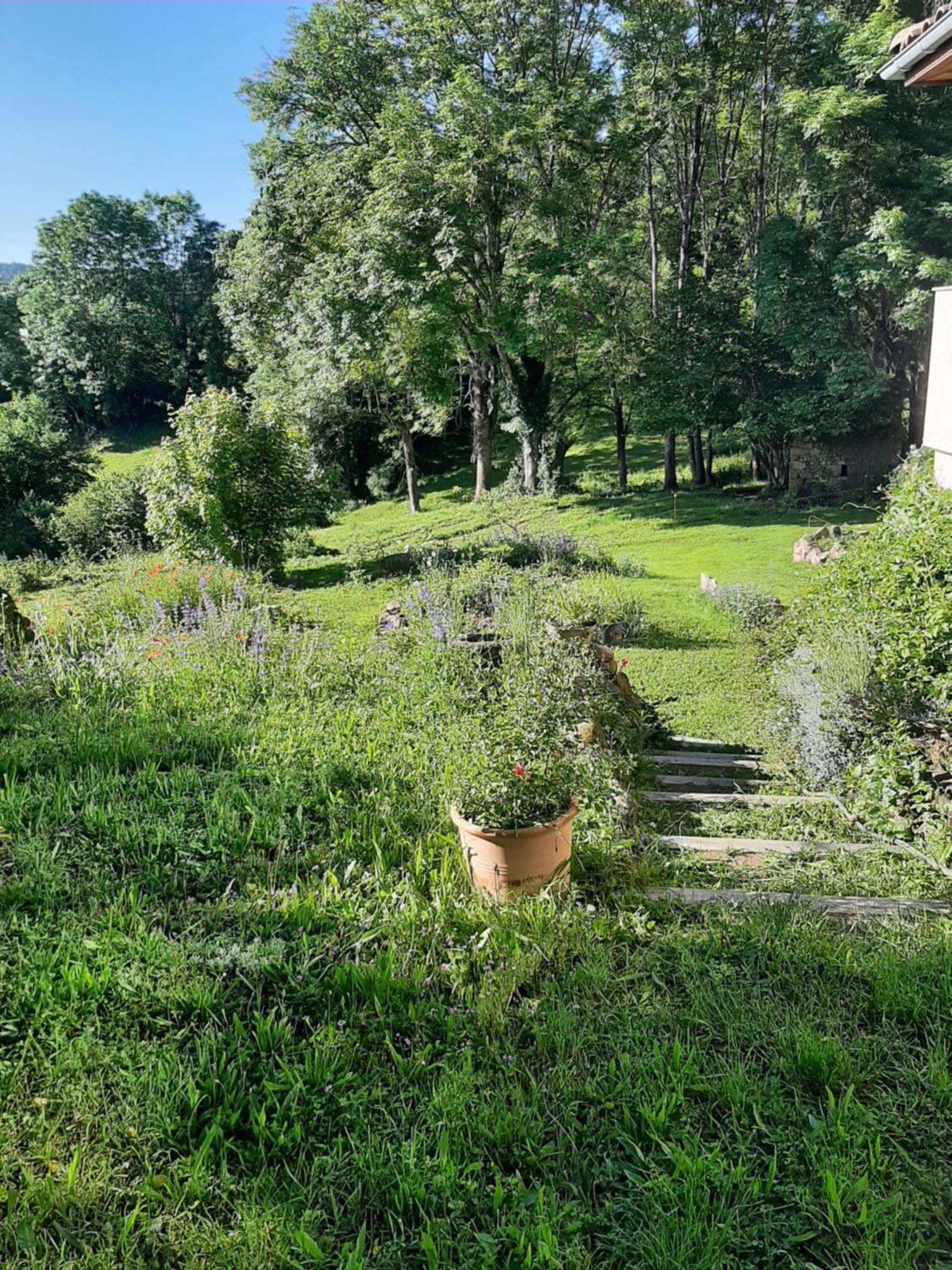 Chambre D'Hotes Charme Et Nature Vieille-Brioude Zewnętrze zdjęcie