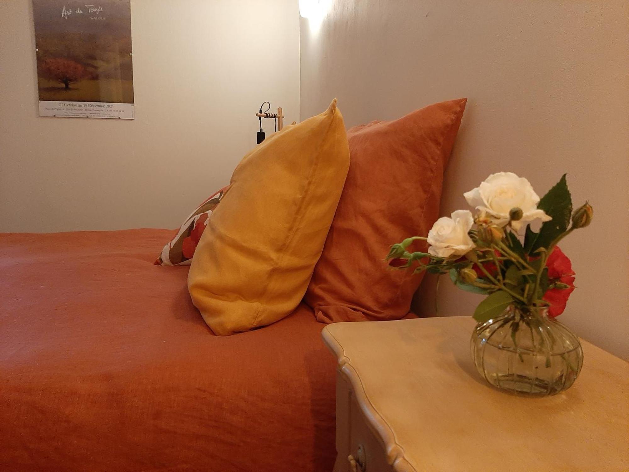 Chambre D'Hotes Charme Et Nature Vieille-Brioude Zewnętrze zdjęcie