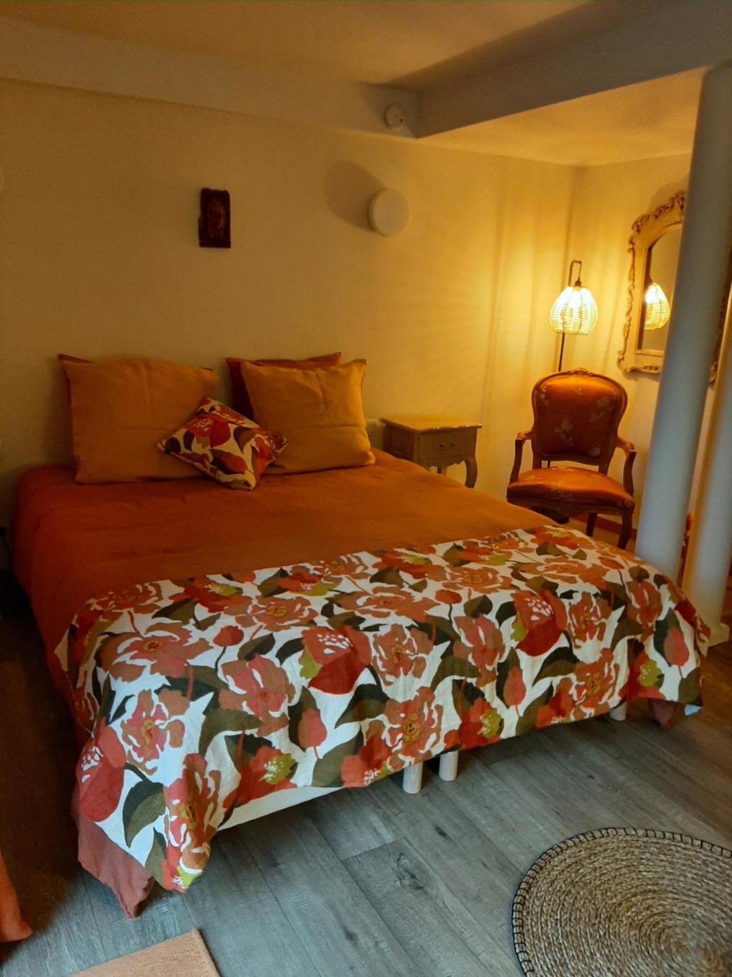Chambre D'Hotes Charme Et Nature Vieille-Brioude Zewnętrze zdjęcie