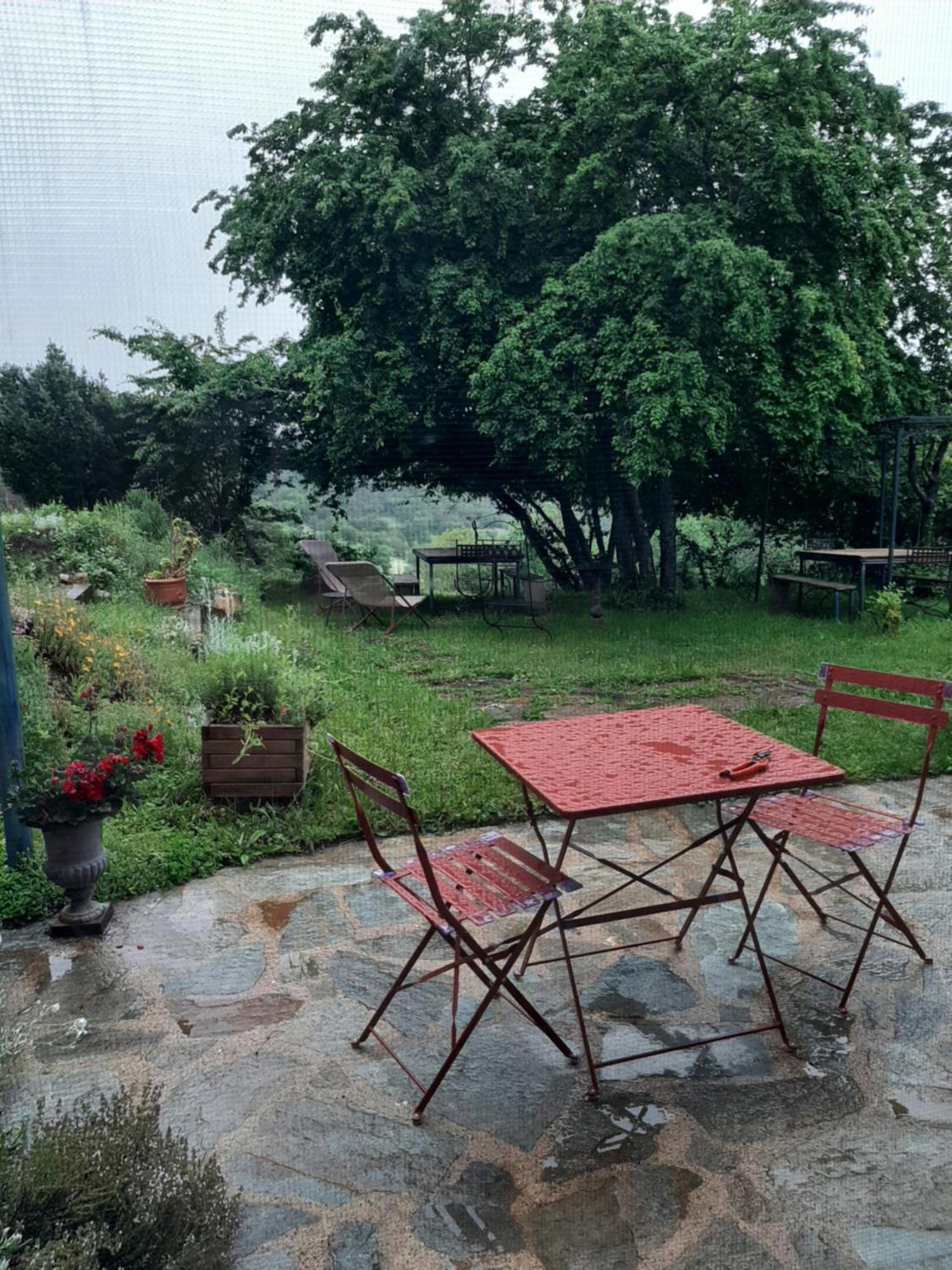 Chambre D'Hotes Charme Et Nature Vieille-Brioude Zewnętrze zdjęcie